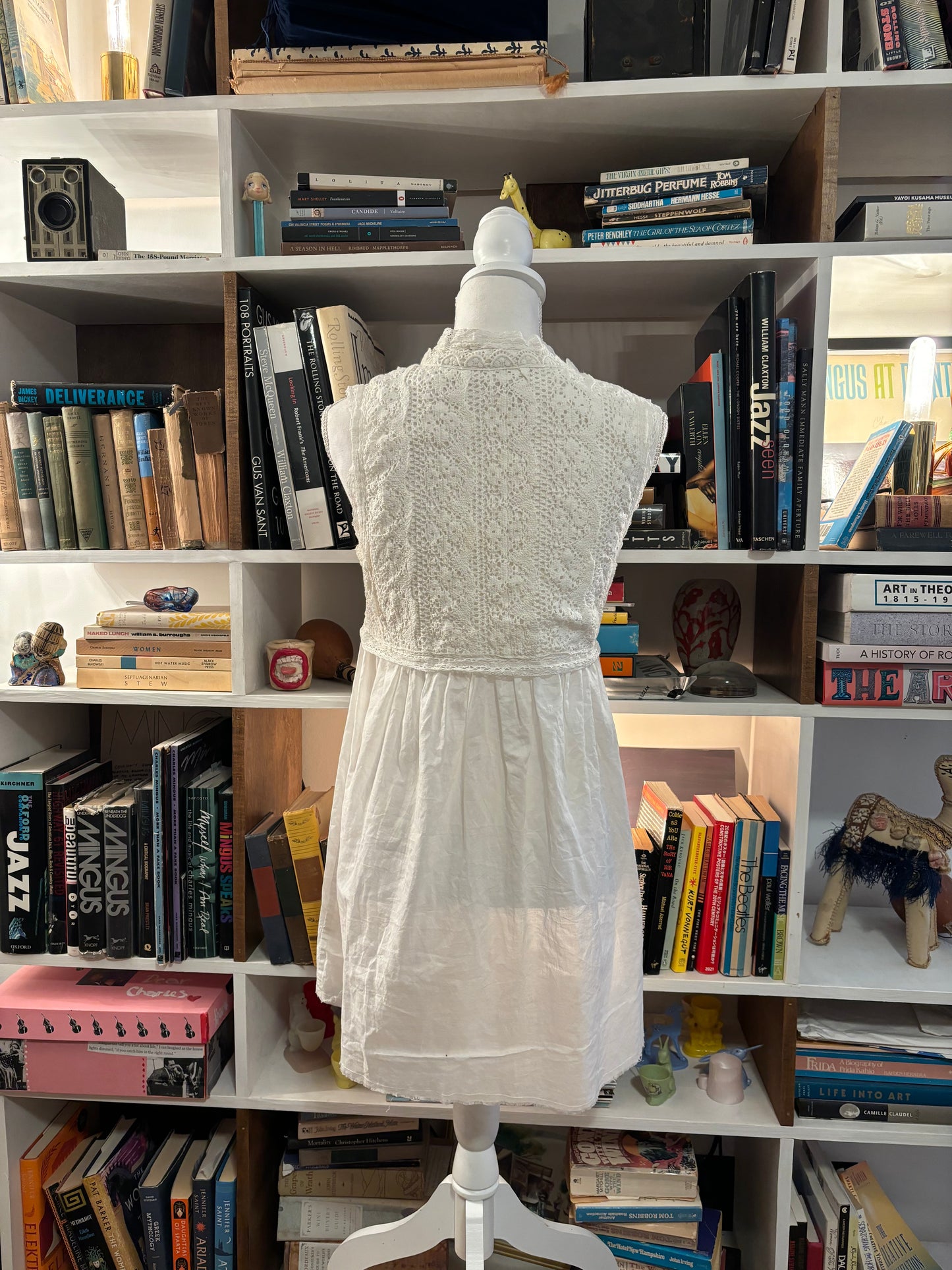 Cotton and lace minidress